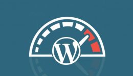 How to Speed Up WordPress_ver2 1
