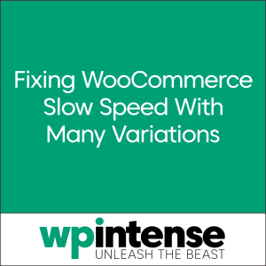 WP Intense - Comprehensive article on speeding up WooCommerce sites with many variations