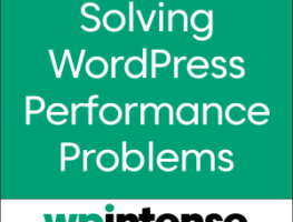 WP Intense - How to: Solve WordPress performance problems with plugins and guides by WP Intense.
